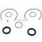 Hydraulic Pump Repair Seal Kit 20/90290 for J C B