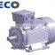 TECO three-phase electric motor