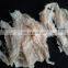 soybean protein food processing line