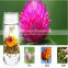 100% pure chinese blooming tea,natural and organic blooming flower tea                        
                                                Quality Choice