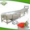 Automatic Air Bubble Fruit Vegetable Washing Machine