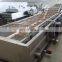 factory price industrial vegetable leafy fruit washing drying machine with ozone
