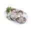 IQF Frozen Oyster With Half Shell Oyster Half Shell