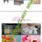 Natural crystal rock candy making machine