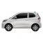 Price Cheap for 5 Doors 5 Seats New Energy Vehicles EV Electric Vehicles E-Car with 300km Driving Range Mileage