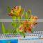 Decorative antique alstroemeria