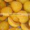 hot sale iqf fruit IQF frozen yellow peach