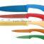 PP WITH COLOR PAINT HANDLE STAINLESS STEEL 6PCS KITCHEN KNIFE SET