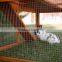 outdoor wooden rabbit hutch cage sale