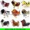 Various Styles Wholesale Walking Animal Balloon