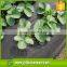 Agriculture Forst protection fleece pp non woven weed mat(pp fleece )