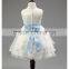 Lastest fashion beautiful tutu dress boutique wedding dress for girls TR-WS03