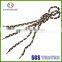 colorful personalized elastic silicone v-tie shoelaces charm