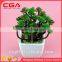 Manufacturers simulation tree simulation wholesale home decoration simulation pot