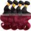 Hair Manufacturer body wave virgin brazilian ombre hair weaves for reseller                        
                                                                                Supplier's Choice