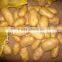 supply fresh vegetables ,high quality fresh potatoes for sale
