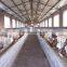 steel structure horse house