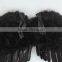 Black feather angel wings for halloween decoration
