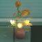 BBY-1506P3 LED colorful night light with sensor indoor products