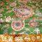 Customized Classical Design Artistic Style Turkish Carpet 3D