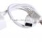 Mini USB to VGA Adapter Cable With Audio and USB Charge