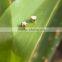 Delicate Stainless Steel Custom Small Bead Charm for Kids