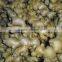 Fresh Ginger Viet Nam, Best Price