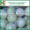 Chinese fresh peeled onion