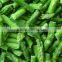 Frozen Fresh Green Asparagus