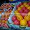 Fresh citrus Fruit Navel orange 2015