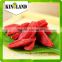 Common Cultivation Type High Quality Certified Organic Goji Berry from Ningxia,China(golden supplier)