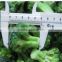 bulk pack Frozen Vegetables broccoli