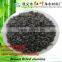 Abrasive Brown Fused Alumina for polishing &Sand blasting/ Granular Powder Abrasives