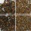 Automatic ccd color sorter for cashew nut/apricot kernels/walnut