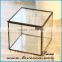 Home Decor Round glass flower box , Glass Plant Terrarium wholesale