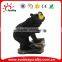 Polyresin home statues animal