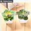 Glass potted artificial mini cute succulents plants