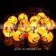 Pumpkin string light halloween decoration