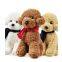 China Teddy Dog Plush Toys Manufacture With Cheap Price