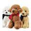 China Teddy Dog Plush Toys Manufacture with cheap price