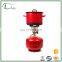 2KG portable cooking lpg gas cylinder for BBQ