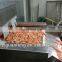 New type food quick IQF tunnel freezer in industrial