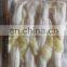 frozen squid price illex squid egg frozen illex squid roe 1kg 2kg