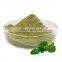 Natural Broccoli Extract Powder, Broccoli Extract Sulforaphane 1%