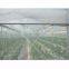 HDPE plastic anti hail net agricultural plastic products net greenhouse net anti insect net anti bee net