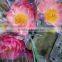 Fresh cut best selling peony flower bunches