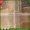 uncoated woodfree paper offset printing paper offset paper for reasonable price