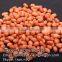 NEW CROP RED SKIN GROUNDNUTS/PEANUTS KERNEL_HIGH QUALITY