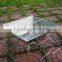 outdoor stainless steel foldable picnic charcoal BBQ stove