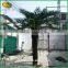 5m fiberglass trunk artificial date palm tree cheap price artificial palm tree